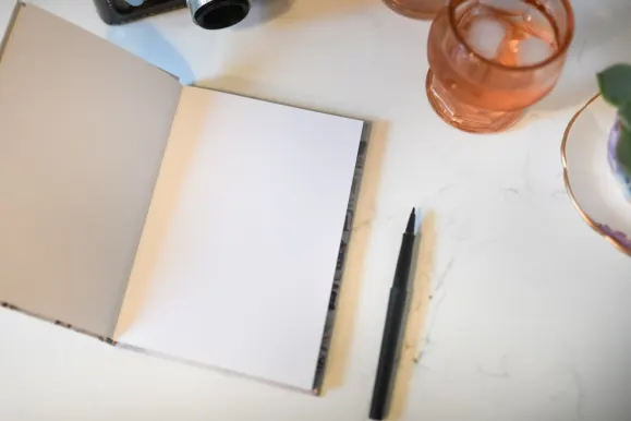 أبولو بيت كازينو الدعم